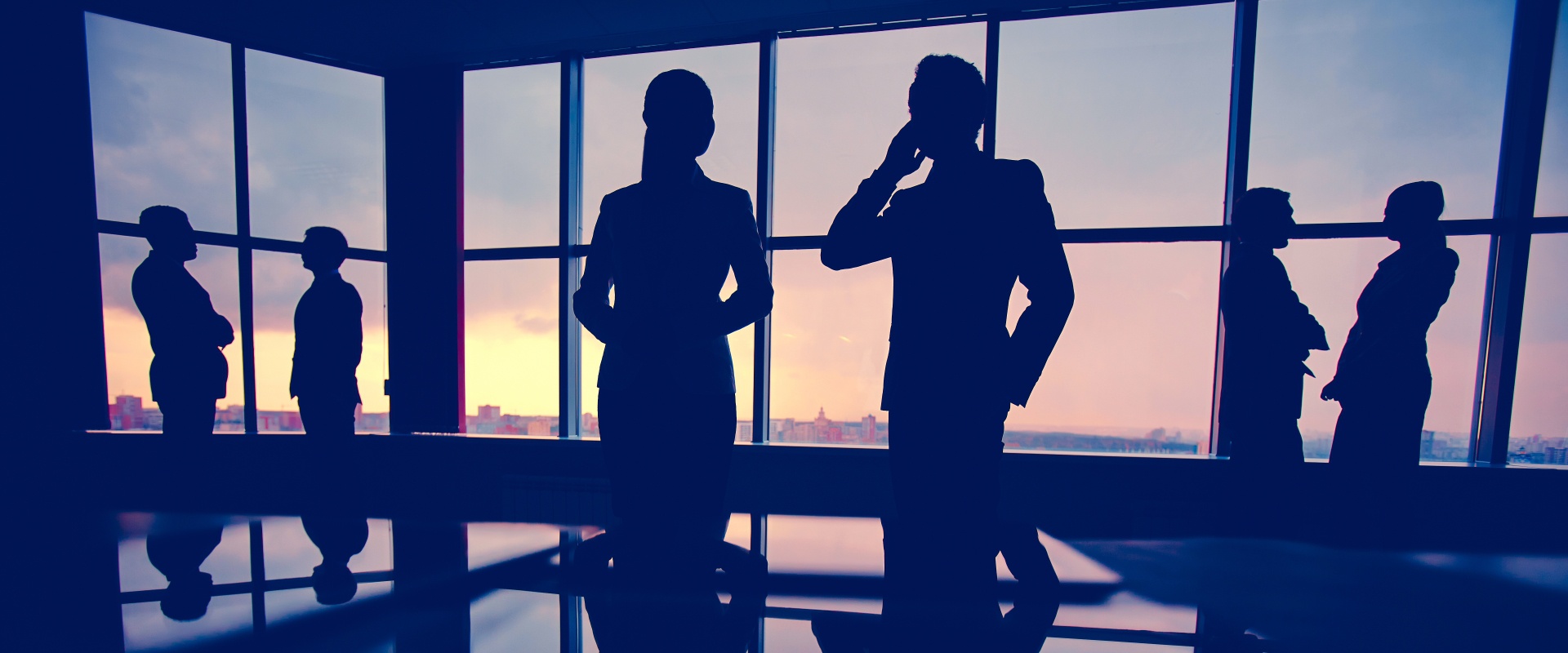 Professional Insurance Consulting Services